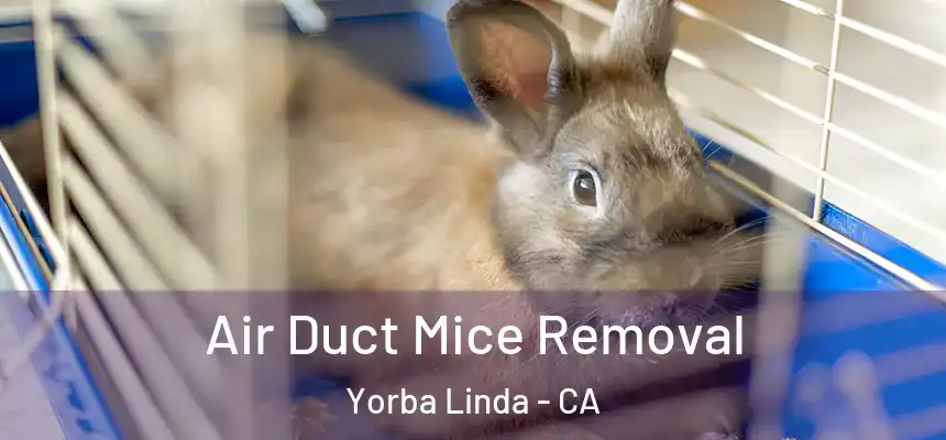 Air Duct Mice Removal Yorba Linda - CA