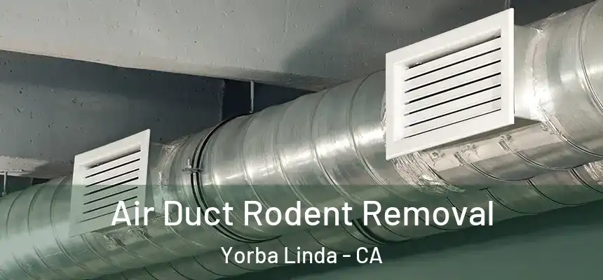 Air Duct Rodent Removal Yorba Linda - CA