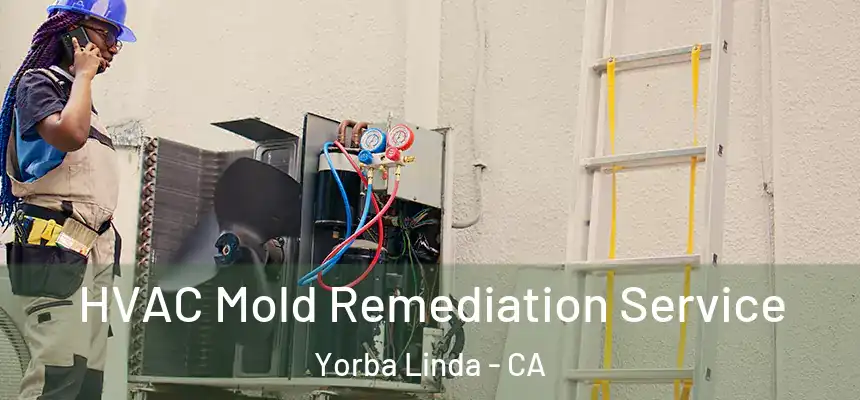 HVAC Mold Remediation Service Yorba Linda - CA