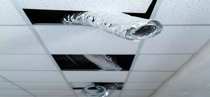 Affordable HVAC Sanitizing After Pest Removal in Yorba Linda