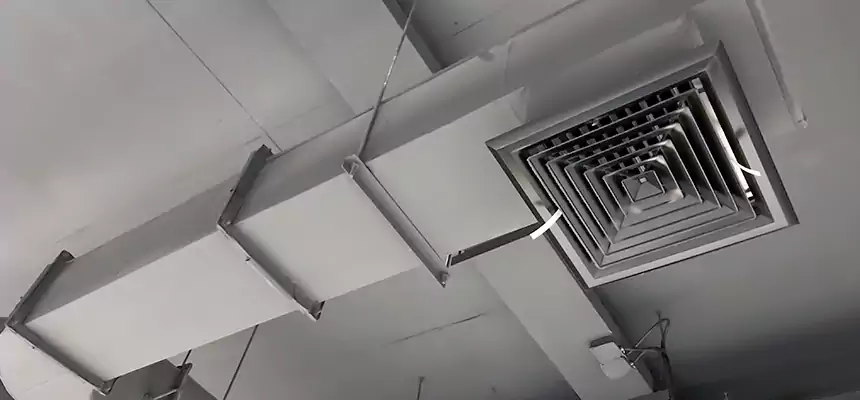 Our Pest Removal From Ducts Services in Yorba Linda, CA