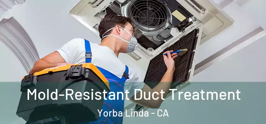 Mold-Resistant Duct Treatment Yorba Linda - CA