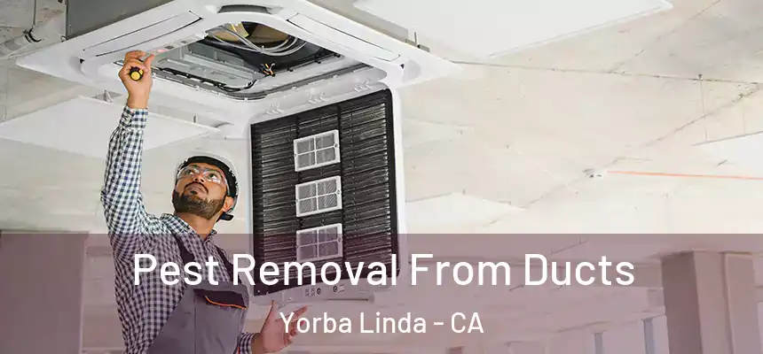Pest Removal From Ducts Yorba Linda - CA