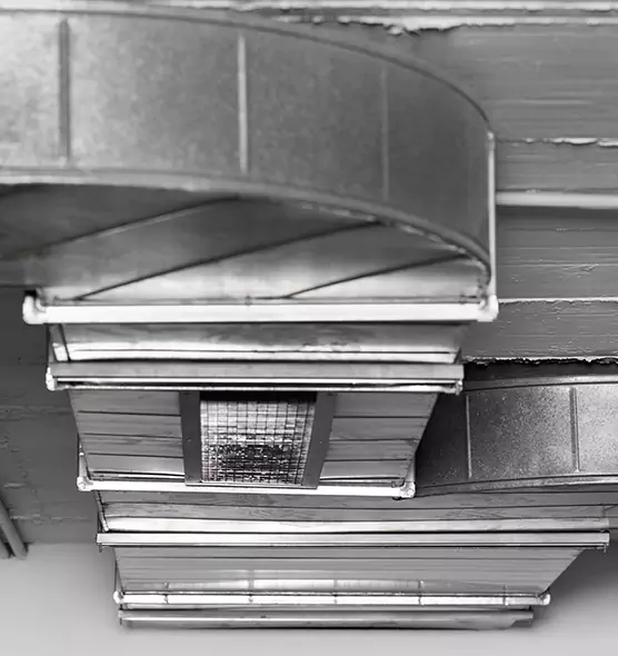 Professional Air Duct Pest Removal in Yorba Linda, CA