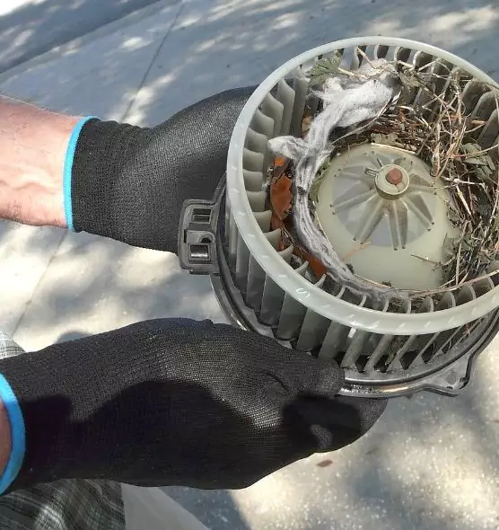 About Air Duct Rat Removal in Yorba Linda, CA