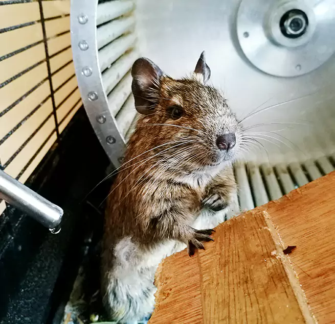 Why Homeowners & Businesses Trust Us Yorba Linda, CA