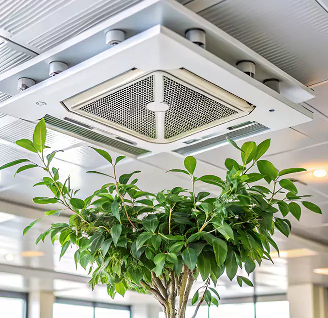 Why Homeowners & Businesses Trust Us in Yorba Linda, CA?